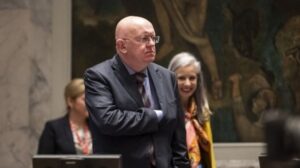 Ruski ambasador u UN: Samoprozvani visoki predstavnik u BiH preuzeo čitav niz funkcija