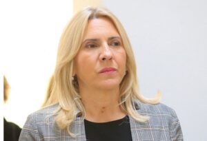 Cvijanović: Zaključke PIK-a pisali bošnjački predstavnici, svako miješanje korak nazad za BiH