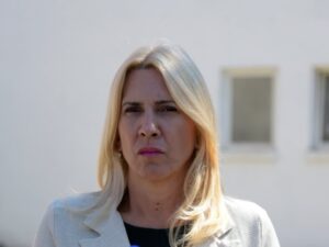 Cvijanović: Dan Republike bez razloga otvara podjele, mnogima smeta što je Srpska nastala u miru