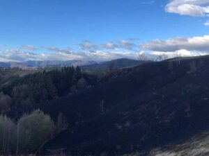 Veliki požar zahvatio Mladikovine kod Teslića, pogledajte kako sada izgleda selo FOTO