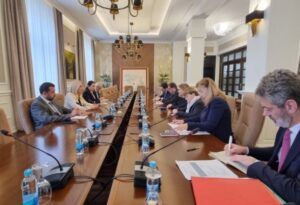 Cvijanović sa francuskim senatorima: Visok stepen supervizije nespojiv sa evropskom budućnošću BiH