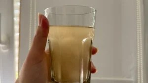 Šta se dešava sa vodom u Novoj varoši? VIDEO