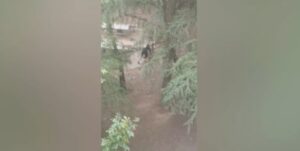 Maloljetnik (16) uhapšen zbog ubistva Mijatovića, za saučesnikom se traga