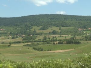 GRADSKA VLAST BEZ RJEŠENJA: Mještani Stričića danima bez vode, skupljaju kišnicu