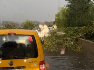 Jako nevrijeme u Doboju, stabla na cesti (VIDEO)