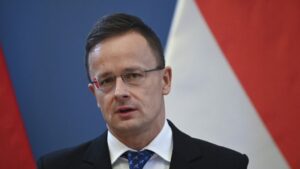 Sijarto: Neprihvatljivo je da EU finansira projekte koje je do sada finansirao USAID
