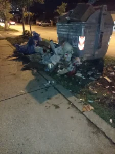 A od gradonačelnika za Starčevicu puni kontejneri smeća…