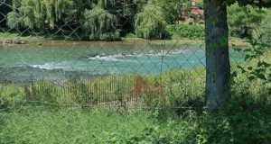 Đajić pitao Stanivukovića: Gdje je most u Docu?