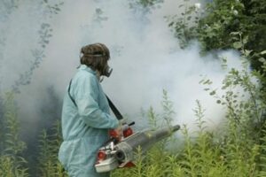 NEODGOVORAN POTEZ GU BANJALUKA: Zaprašuju komarce dok su ulice pune djece