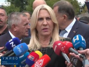Cvijanović: Sud i Tužilaštvo BiH kroz pravosuđe rješavaju političke apetite stranih kuhinja
