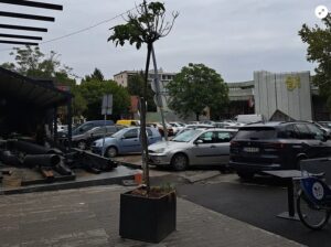 Da li je ovo zelena Banjaluka? Posjekli lipu i zasadili stablo u žardinjeru