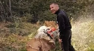 Aleksandar od sječe drva plaća školarinu i ostvaruje svoje snove