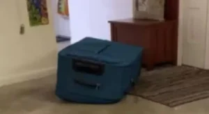 UZNEMIRUJUĆI SNIMAK: Djevojka se smije i snima dečka dok on umire u koferu