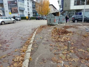 Blato i lišće na ulicama: “Trebamo početi sami čistiti ulice i trotoare i slati računa Gradskoj upravi”