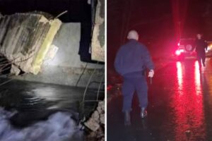 Kurtijevi specijalci upali u srpska sela, ulaze u kuće silom, ima privedenih