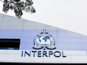 Na potjernicama Interpola više od 10 državljana BiH