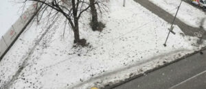 Snijeg u Banjaluci: U široj regiji grada olujni udari vjetra