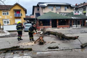 Palo drvo u Banjaluci, saobraćaj obustavljen (FOTO)