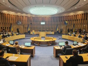 Hitna sjednica Doma naroda o razrješenju prvog zamjenika predsjedavajućeg