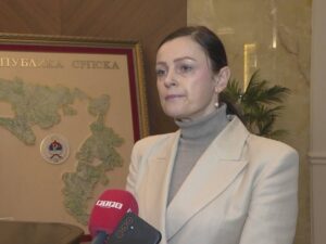 Pajić Baštinac: Srpska smatra da je pravi trenutak za novi i snažniji Ustav