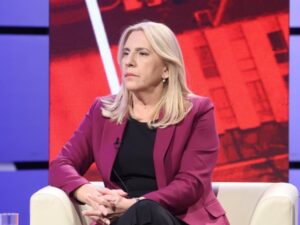 Cvijanović: Slika današnje EU – nepoželjnim proglašavaju demokratski izabranog lidera, a ne nelegalnog stranca koji glumi kolonijalnog upravnika