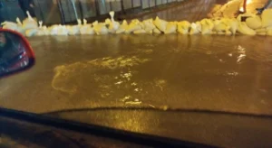 Više domaćinstava odsječeno od Banjaluke