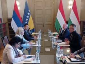 Cvijanović: Nedopustivo da stranac donosi zakone – ta praksa ne postoji u civilizovanom svijetu