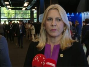 Cvijanović: Glavna poruka Erdogana – kako koristiti diplomatiju u rješavanju složenih pitanja (VIDEO)