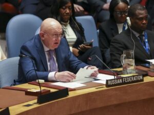 Nebenzja: Šmit nema pravo da govori u ime međunarodne zajednice