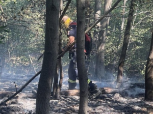 Požar na Stolovima kod Kraljeva i dalje aktivan
